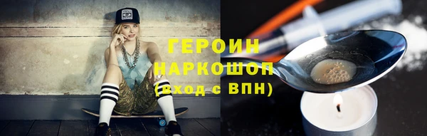 молекула духа Снежногорск